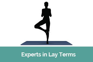 experts-in-lay-terms