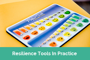 Resilience tools in practice